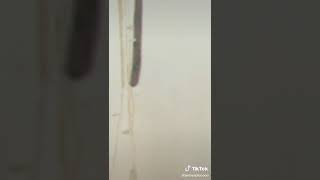 Download lagu TIK TOK GADIS NGOMONG JOROK CUTE mp3 Download lagu TIK TOK GADIS NGOMONG JOROK CUTE mp3