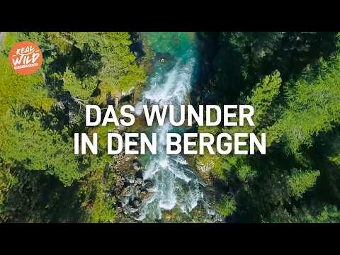 Die Kraft der Berge: Inn-Fluss, Steinadler und die Schweizer Alpen