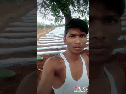 download lagu mp3 mp4 Mushtaq Name Ringtone, download lagu Mushtaq Name Ringtone gratis, unduh video klip Download Mushtaq Name Ringtone Mp3 dan Mp4 Popular Gratis