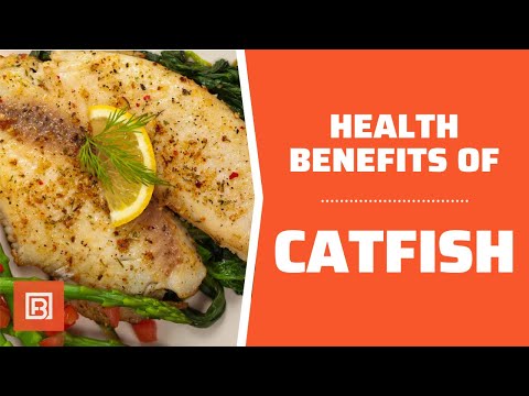 Health benefits of Catfish: Is it healthy for you?