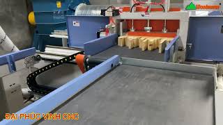 DÂY CHUYỀN FINGER TỰ ĐỘNG WOODMASTER WM-IAT-620