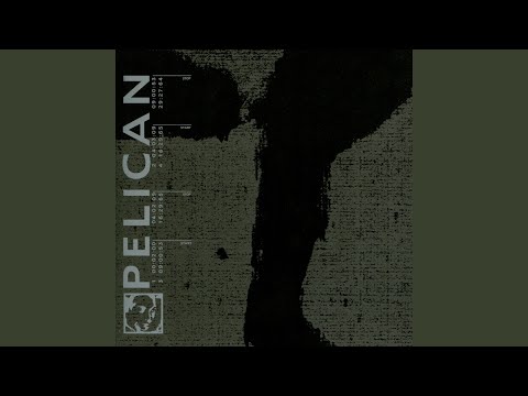 Video thumbnail for The Woods