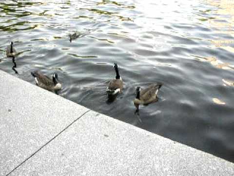 Outside Festival Food Court At Cambridgeside Galleria