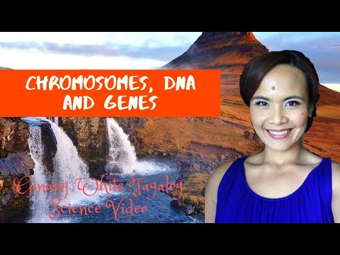LESSON ON CHROMOSOMES, DNA AND GENES | IN FILIPINO