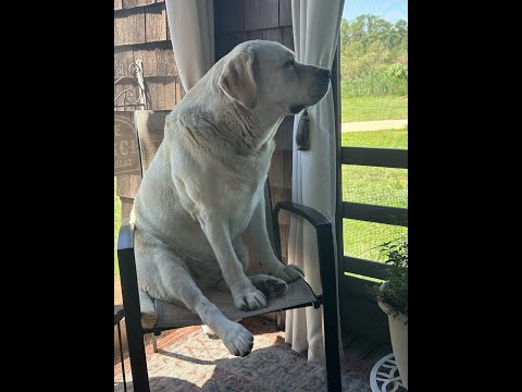 Don and Diane Shipley LIVE - August 20th at 1800 EST Thumbnail