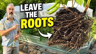 Don’t Pull Your Green Bean Plants