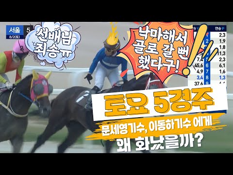 8/5-오기자-#이슈 #경마