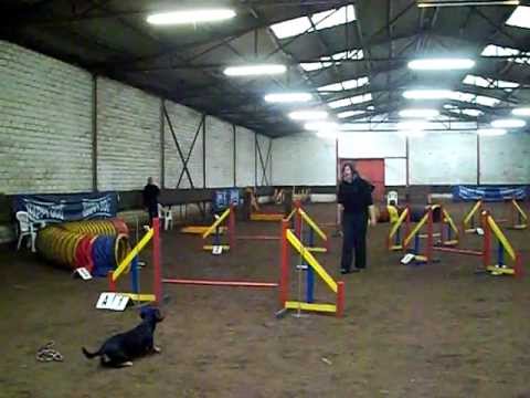 HappyDog Hallenmaster - 2. Turnier - 26.02.12 - Sarah und Lotte 1.Platz(V0)