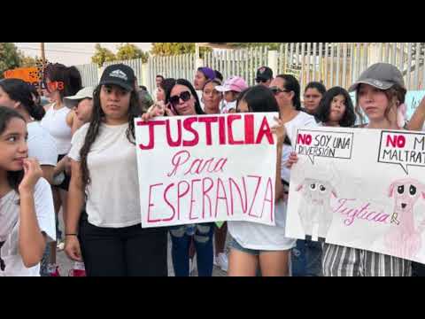 Pobladores se manifiestan en Lázaro Cárdenas, exigen justicia por agresión contra perrita embrazada