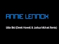 Annie Lennox - Little Bird (Derek Howell & Joshua ...