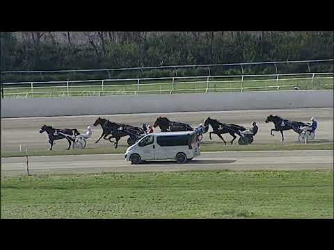 Napoli Trotto 14/04/2023 - 5ª corsa