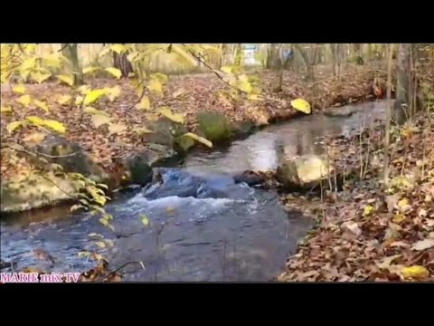 Relaxing and Meditation Music | Non CPR Relaxing Music #relaxing #meditation #nocpr