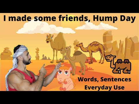 Words Sentences Everyday Use Arabic Iraqi Dialect - Lesson 13