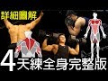 【4天練全身】超高CP值! 必收藏訓練影片｜健人訓練｜2019ep02