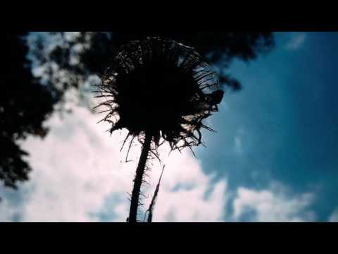 Content Corrupted  - 161121