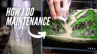 Nano Tank Maintenance - DOOA 20x20x20cm after 9 Months
