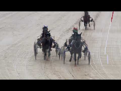 2018.03.17. 5. futam - KOPPÁNY DÍJ