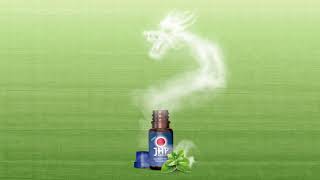 JHP Rödler Japanisches Minzöl