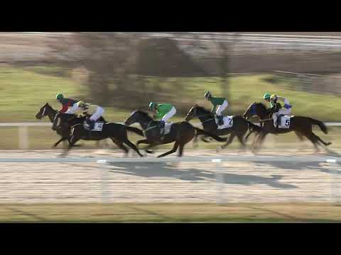 2020.12.06. 04. futam - BENSON VILMOS EMLÉKVERSENY HENDIKEP (V.o.) (szintetikus pálya)