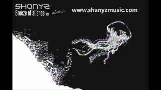SHANYZ - Breeze of silence