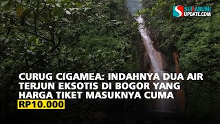 Download lagu Curug Cigamea: Indahnya Dua Air Terjun Eksotis di Bogor yang Harga Tiket Masuknya Cuma Rp10.000 mp3
