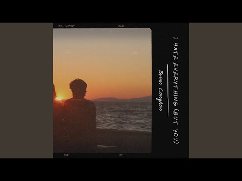 I Hate Everything (But You)