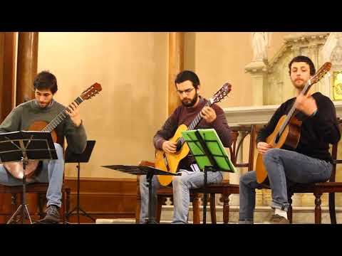 Trío Timbó - Danza Paraguaya - Agustín Barrios