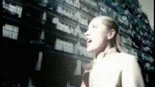 Palomino - Perfect Accident