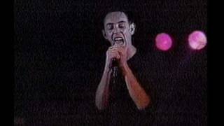 THE MIGHTY LEMON DROPS 1989 MTV US Interview