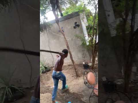 Huge fighting in Jamaica #trending #jamaica #shortsfeed #fighting #shorts