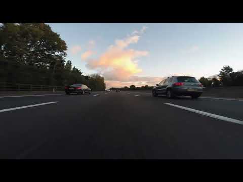 SANDALWOOD BRANCH _ IGOR YURIEV