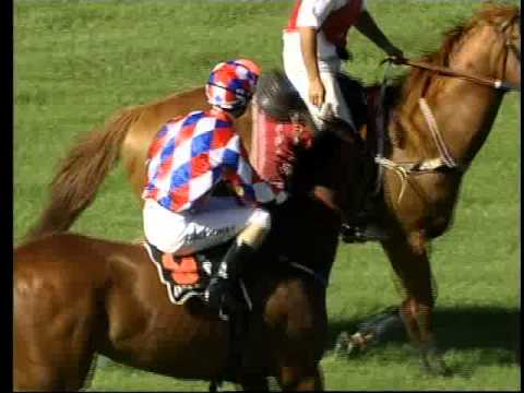 La Montagna - Vo Rogue Plate