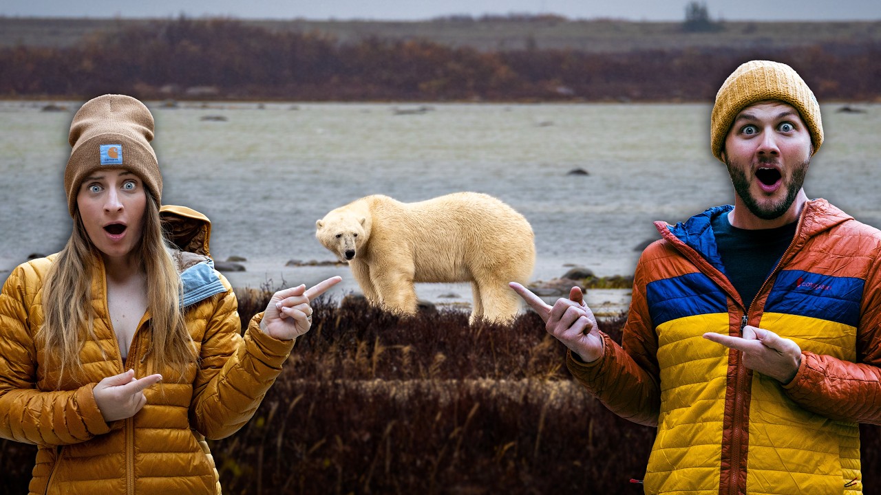 The Best Place to See Polar Bears (Churchill, Manitoba in Canada 🇨🇦)