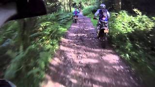 Dorking Green Lanes - Surrey