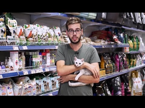 Life is Better with Friends 26102016 - Parapergatitjet per te nisur bashkejetesen me macen