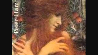 Peter Hammill&amp;The K-Group &quot;The Future Now&quot;&amp;&quot;Losing Faith In Words&quot;Berlin KantKino 27/09/1981 (1)