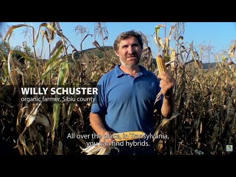 U-Turn — Povestea unei schimbări reale