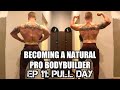 BECOMING A NATURAL PRO BODYBUILDER | Ep 11: Pull Day!