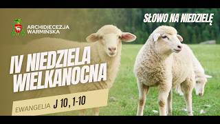 SŁOWO NA NIEDZIELĘ -  IV Niedziela Wielkanocna - abp Józef Górzyński - 26.04.2026 r