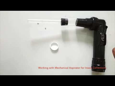 Mechanical Aspirator Capturing Insects