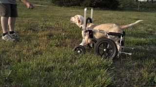 Zeus' Remarkable Journey