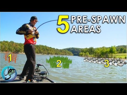 Top 5 Pre-Spawn Bass Fishing Locations | Baits, Cover and Area Tips