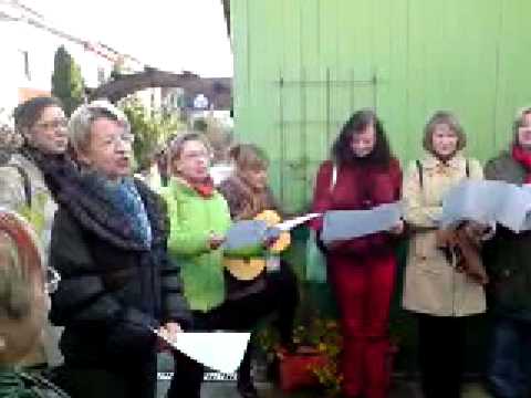 Cottbus 17.11.Geburtstag