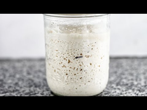 So Easy Gluten Free Sourdough Starter | Easy to MAINTAIN with no DAILY feedings or discard!