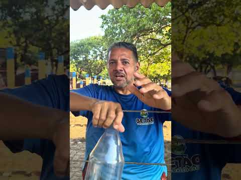 Leiteiro da fazenda poço da pedra miraima no parque de exposição de Itapipoca Ceará é show papai