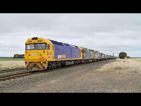 7731V Pacific National Grain Train With BL31, G523 & 8142 Arrives At Gheringhap (13/9/2024)- PoathTV