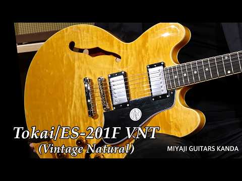 Tokai ES-201F VNT - Natural image 12