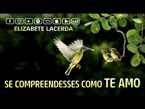 SE COMPREENDESSES O DOM DE DEUS 🎶 @ElizabeteLacerda #MúsicasQueCuram ✨