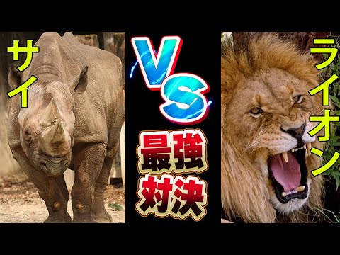 サイ:種類、特徴、生息地 -