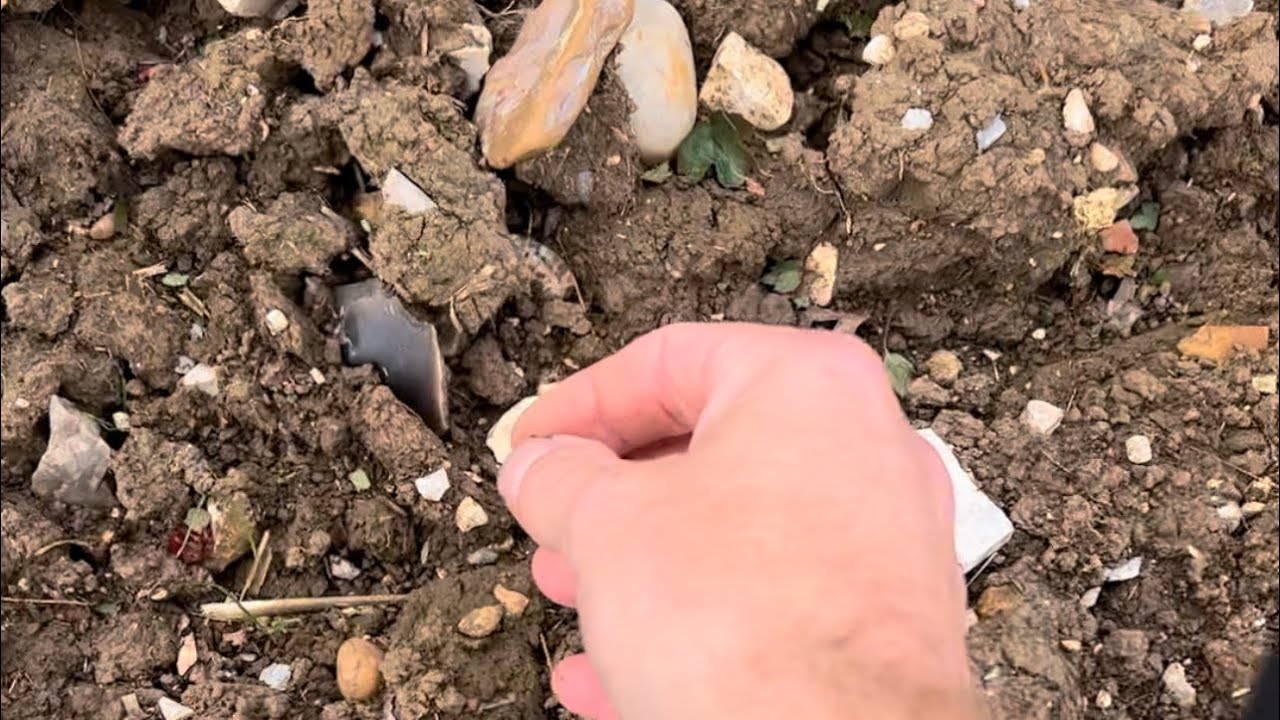 Flint Tool Hunting In England. UK Flinting Looking For Stone Age Tools.